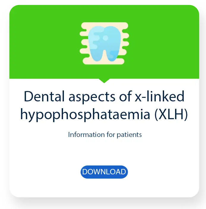 dental-xlh