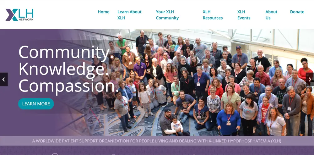 xlh network homepage